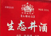 生态井