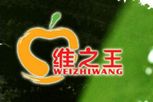 维之王