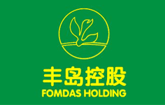 丰岛控股