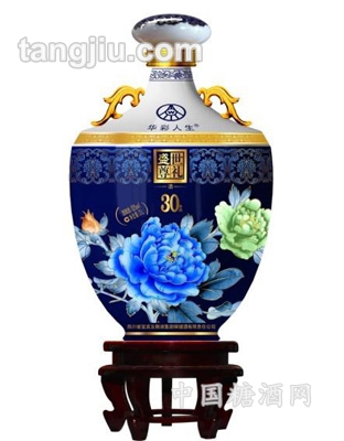 蓝色经典（珍藏版）3L
