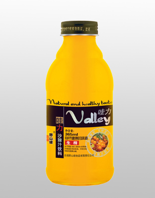 哇力沙棘汁饮料0