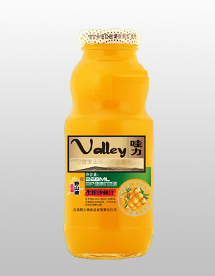 山西沙棘汁饮料3