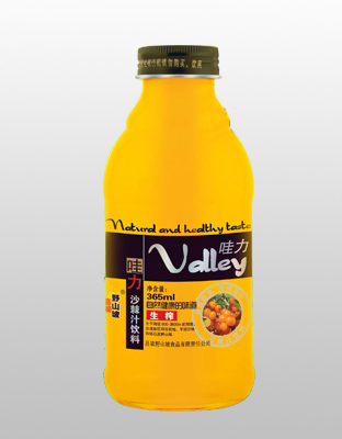 山西沙棘汁饮料2