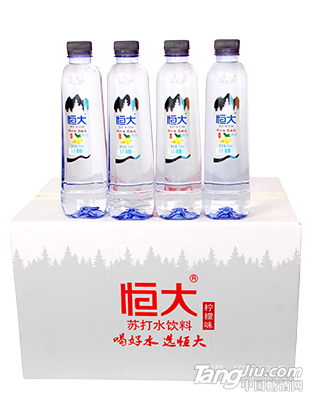 苏打水500MLX24瓶—柠檬味