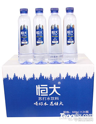 苏打水500MLX24瓶