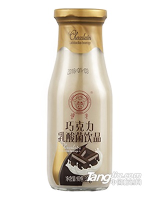 智力多厂家直销巧克力乳酸菌饮料300g