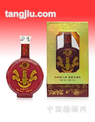 陈大师-千喜天下