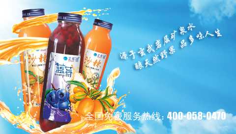北纬48&#176;蓝莓汁饮料