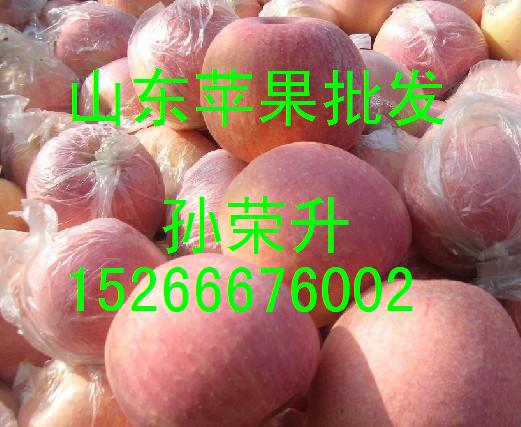 山东红富士苹果山东苹果格