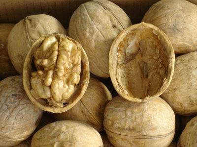 开心果整柜进口报关丨开心果整柜进口代理