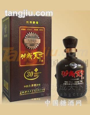 功成天下30年原浆.jpg