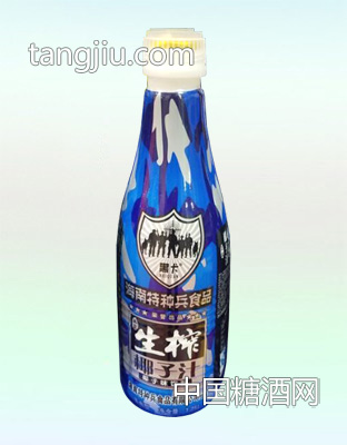 海南特种兵生榨椰子汁1.25L