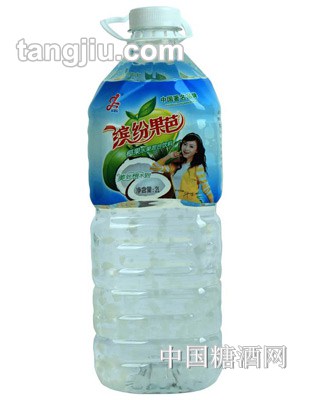 香格利椰果味饮料2L