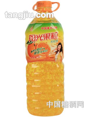 香格利阳光果粒2L