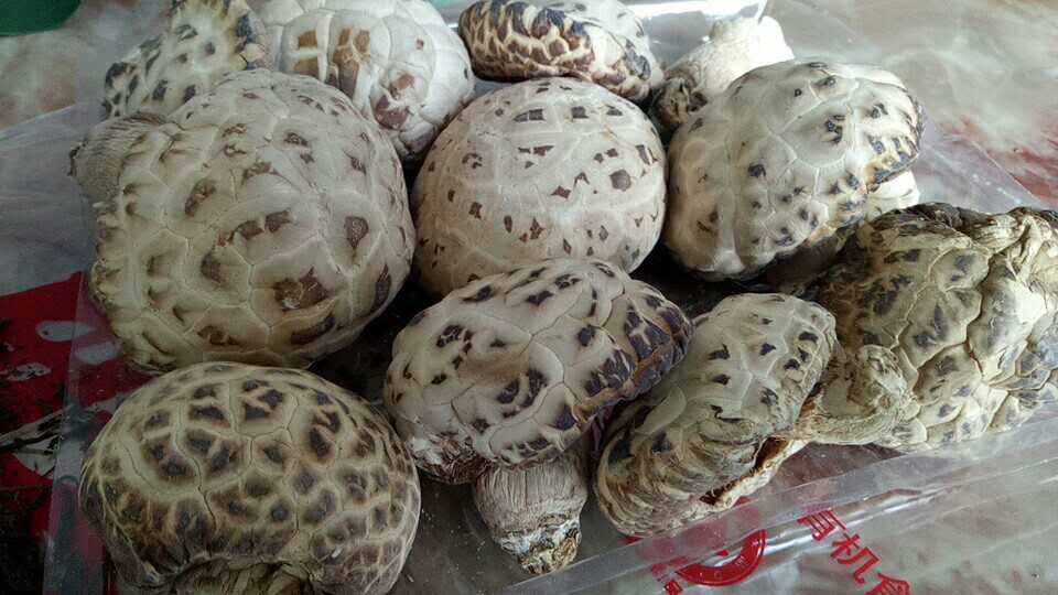 安徽野寨牌花菇价格  花菇和香菇区别