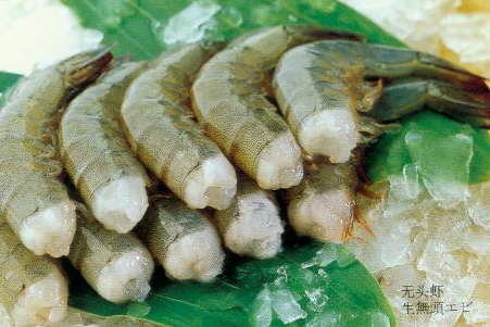 供应南美白对虾 青虾 去头虾 鱿鱼片 鱿鱼排