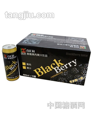 百汇园黑莓果肉果汁饮品（黑罐）480ml