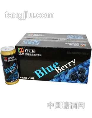 百汇园蓝莓混合果汁饮品480ml