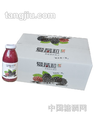 百汇园爱莓粒系列黑莓果汁245ml