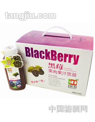百汇园黑莓果肉果汁饮品300ml
