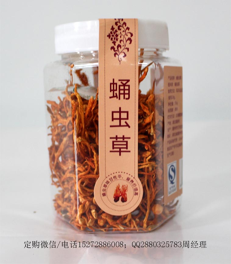 蛹虫草（花草茶）瓶装100瓶/箱湖北随州万松堂生产