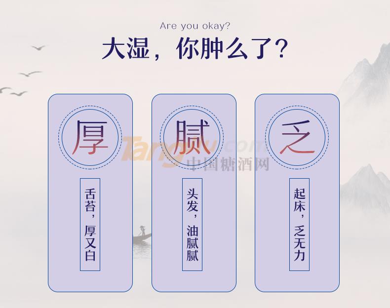 逍遥草本茶_02.jpg
