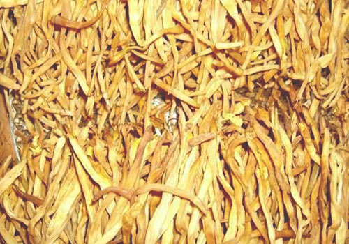 批发食用菌 干制 加工水产品