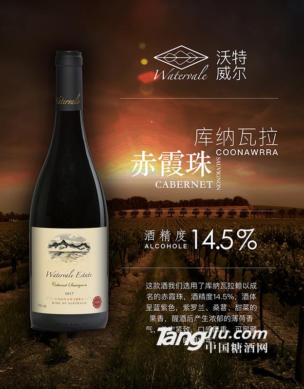 葡萄酒海报