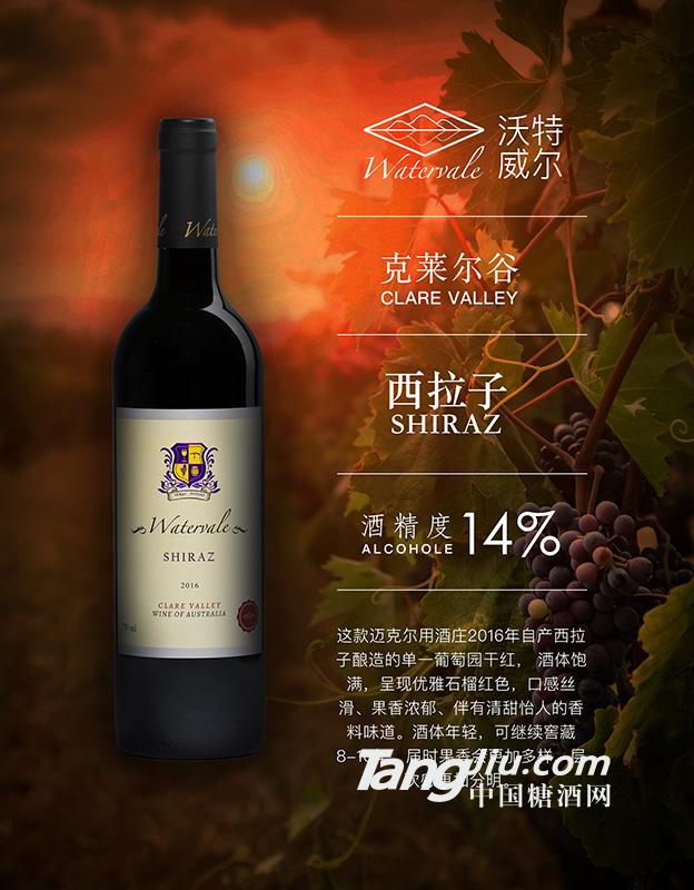葡萄酒海报