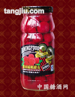 600g糖水杨梅罐头