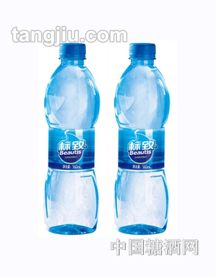 标致精装水560ML