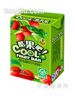 野生酸枣汁250ml