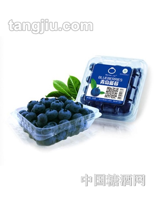冰睿蓝莓果干125g