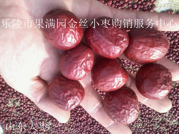 产地诚信供应元红枣多少钱一斤