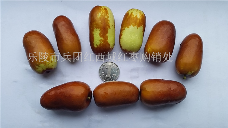 长红枣产地批发商
