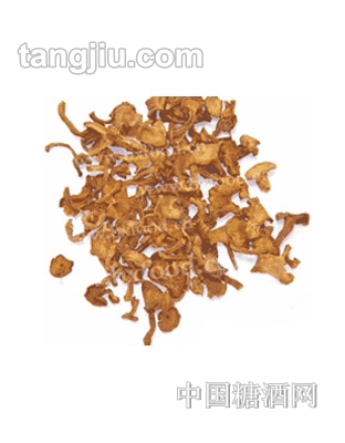 鸡油菌