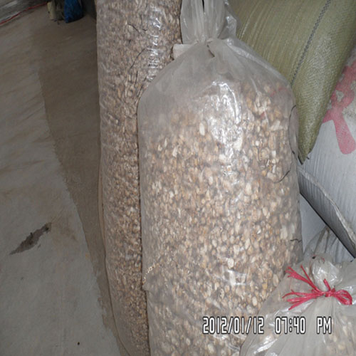 【老鸹村】香菇脚批发｜单剪香菇脚mushroom root