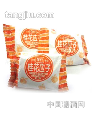 佳信枕式原果风味桂花应子