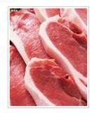 供应猪脚 猪排 猪肉 批发