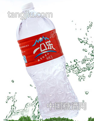 禅宝饮用纯净水2L