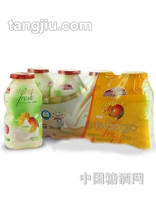 界界乐乳酸菌饮料（芒果）100ml-4瓶