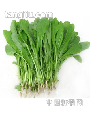 保鲜蔬菜玉丝菜