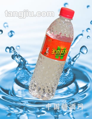 井天然自涌弱碱水塑料瓶装533mL