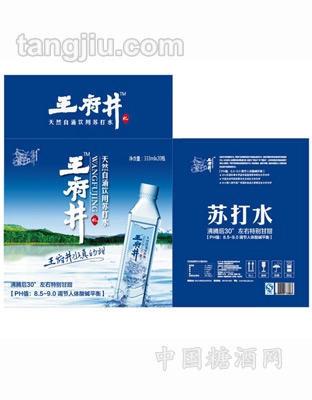 井天然自涌弱碱水新品333ml