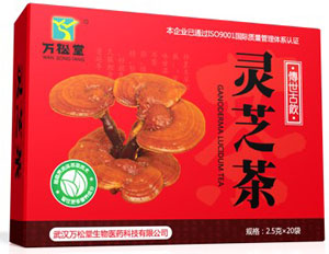 灵芝茶招商