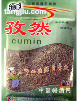 乐畅孜然20g