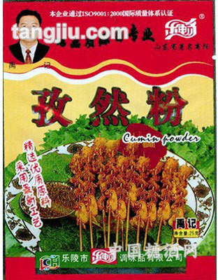 乐畅经济型孜然粉25g