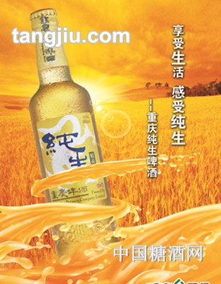 9.5&#176;p500ml山城1958啤酒