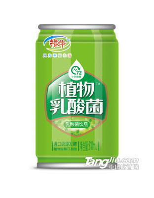 福牛乳酸菌310ml拉罐