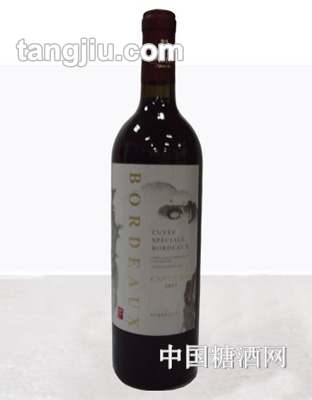 卡斯特-罗茜AOC2007
